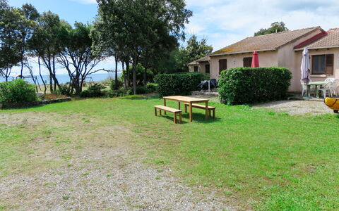 San Nicolao 674: Propriété, Immobilier, Lot Terre, Cour, Herbe, Maison, Arrière-Cour, Pelouse, Domicile, Chalet
