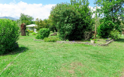 San Nicolao 674: Lot Terre, Propriété, Herbe, Végétation, Paysage Naturel, Cour, Réserve Naturelle, Pelouse, Jardin, Arbre