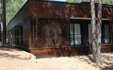 Calvi 609: Fenêtre, Ciel, Bois, Arbre, Tronc, Paysage, Zone Rurale, Chalet, Bâtiment, Loisir