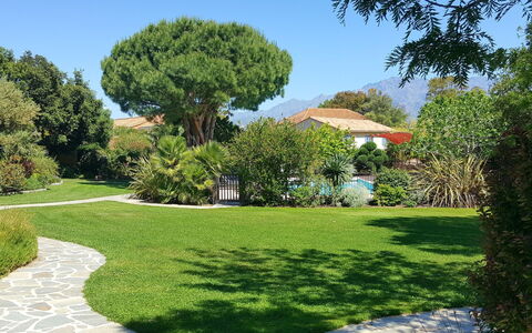 Calvi 610: Ciel, Plante, Arbre, Paysage Naturel, Lot Terre, Ombre, Suppression Des Plantes Ligneuses, Herbe, Arbuste, Couverture De Sol