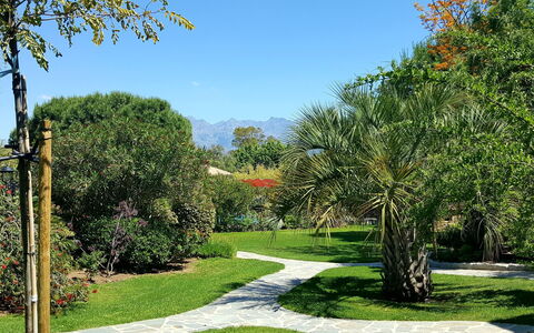 Calvi 610: Plante, Ciel, Propriété, Communauté Des Plantes, Paysage Naturel, Végétation, Arbre, Lot Terre, Herbe, Arecales