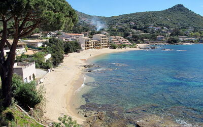Agula Marina (Tuc300)