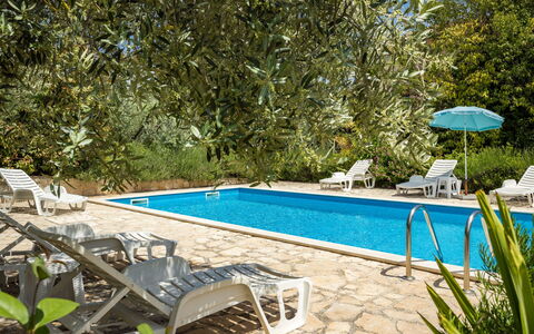 Poreč 608: L'Eau, Plante, Meubles, Propriété, Piscine, Chaise, Ombre, Mobilier De Jardin, Arbre, Rectangle