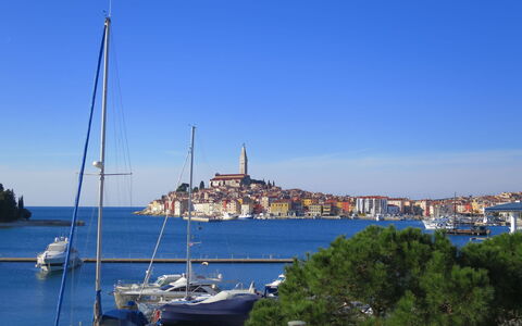 Rovinj 683: L'Eau, Ciel, Bateau, Navire, Cotiers Et Relief Océaniques, Lac, Mât, Arbre, Nuage, Bâtiment