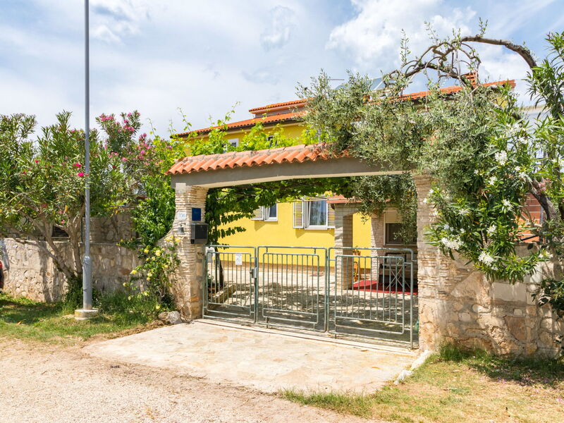 Pula 664