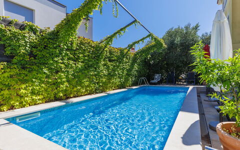 Gabi: Plante, L'Eau, Ciel, Jour, Propriété, Pot De Fleur, Vert, Bleu Azur, Fenêtre, Bleu