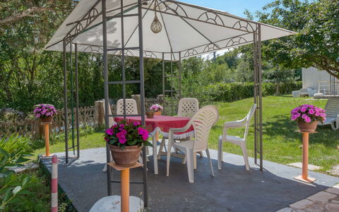 Lola: Plante, Fleur, Meubles, Table, Bâtiment, Chaise, Tableau De Plein Air, Botanique, Ombre, Pot De Fleur
