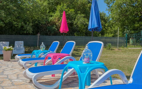Lola: Plante, Arbre, Mobilier De Jardin, Pot De Fleur, Ombre, Chaise, Herbe, Loisir, Des Loisirs, Chute