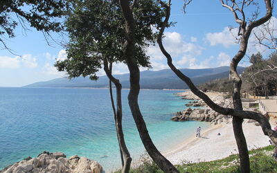Rabac 638