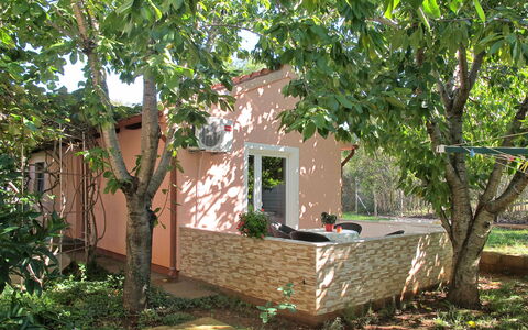 Catarina 1: Plante, Bâtiment, Fenêtre, Arbre, Lot Terre, Maison, Chalet, Bois, Zone Résidentielle, Herbe