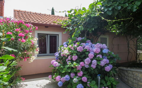 Catarina 1: Fleur, Plante, Propriété, Bâtiment, Fenêtre, Ciel, Feuille, Nuage, Maison, Végétation
