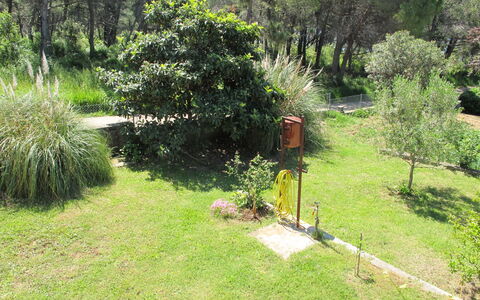 Zadar 618: Plante, Propriété, Communauté Des Plantes, Paysage Naturel, Arbre, Lot Terre, Herbe, Paysage, Couverture De Sol, Prairie