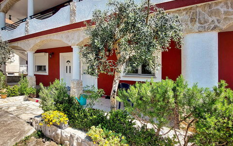 Vodice 613: Plante, Bâtiment, Fenêtre, Fleur, Botanique, Végétation, Maison, Jaune, Quartier, Zone Résidentielle