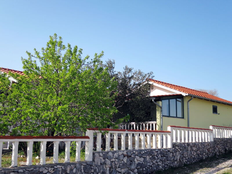 Rogoznica Ražanj 637