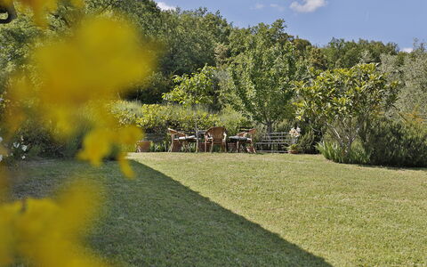 Ricavoli: La Nature, Paysage Naturel, Jaune, Propriété, Jardin, Herbe, Arbre, Botanique, Pelouse, Paysage