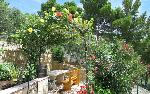 Nina: Fleur, Jardin, Plante, Arbre, Botanique, Architecture, Printemps, Cour, Maison, Immobilier