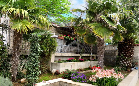 Garden: Plante, Propriété, Bâtiment, Communauté Des Plantes, Fleur, Arbre, Feuille, La Nature, Botanique, Ciel