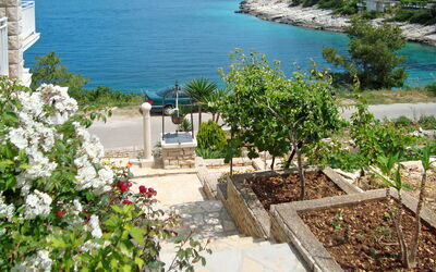 Korčula Korčula 604: Propriété, Immobilier, Maison, Plante, Bâtiment, Fleur, Appartement, Vacances, Mer, Été