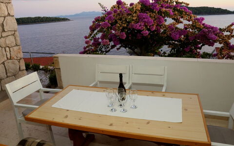 Korčula Korčula 606: Table, Plante, Meubles, Propriété, L'Eau, Fleur, Ciel, Pot De Fleur, Bâtiment, Fenêtre