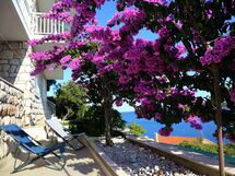 Korčula Korčula 606