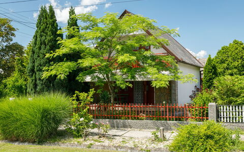 Rakoczi: Vert, Arbuste, Maison, Toit, Chalet, Jardin, Printemps, Pelouse, Cour, Ferme