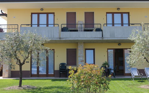 Lazise 741: Plante, Ciel, Communauté Des Plantes, Paysage Naturel, Branche, Arbre, Herbe, Arbuste, À Feuilles Caduques, Paysage