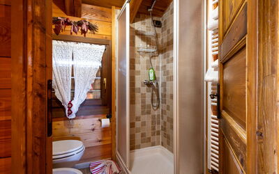 Ancienne Bergerie Studio 3 602.3: Bâtiment, Bois, Évier, Toilette, Salle De Bains, Porte, Design Intérieur, Architecture, Miroir