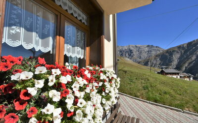 Livigno 619: Plante, Fleur, Bâtiment, Propriété, Fenêtre, Pot De Fleur, Ciel, Montagne, Maison, Pétale