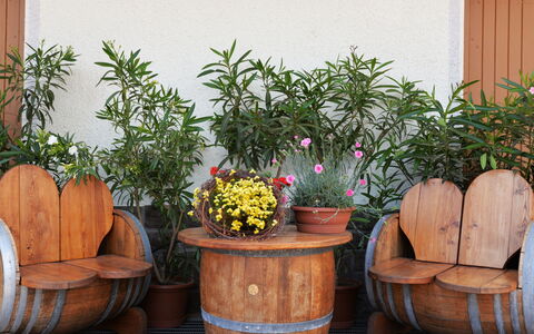 Andriano 602: Pot De Fleur, Plante D'Appartement, Plante, Fleur, Jardin, Herbe, Baril, Pièce, Bois, Meubles