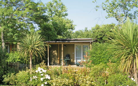 Grado 651: Plante, Fleur, Communauté Des Plantes, Bâtiment, Ciel, Paysage Naturel, Arbre, Lot Terre, Maison, Fenêtre