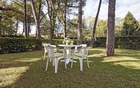 Lignano Pineta 620: Plante, Table, Propriété, Meubles, Nuage, Chaise, Arbre, Paysage Naturel, Botanique, Branche