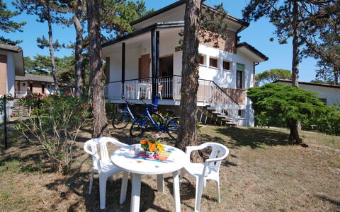 Lignano Pineta 620: Plante, Ciel, Bâtiment, Propriété, Fenêtre, Table, La Nature, Arbre, Maison, Lot Terre