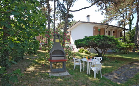 Lignano Pineta 620: Plante, Bâtiment, Chaise, Arbre, Ciel, Maison, Mobilier De Jardin, Fenêtre, Ombre, Herbe