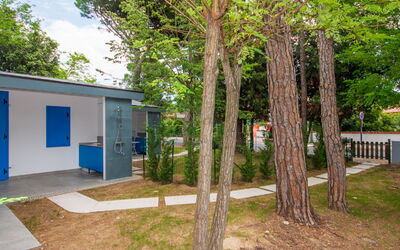 Logement:&nbsp;Tiny House 646.3