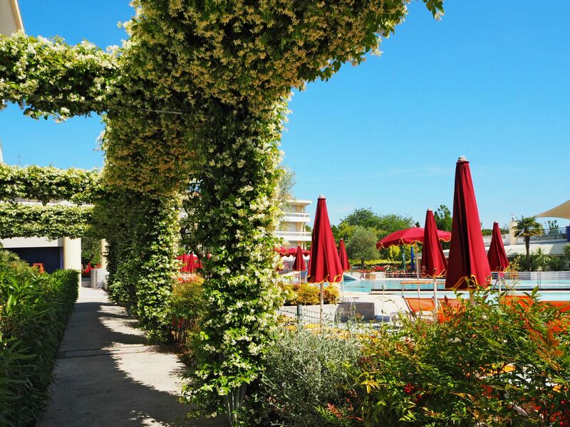 Bibione 661