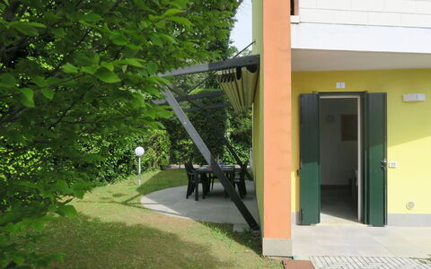 Begonie: Plante, Ombre, Porte, Bâtiment, Surface De La Route, Arbre, Immobilier, Herbe, Teintes Et Ombres, Paysage
