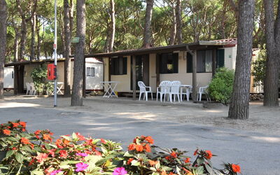 Camping Florenz 608.1