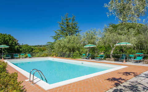 Casale Marittimo 607: L'Eau, Ciel, Propriété, Piscine, Bleu Azur, Ombre, Arbre, Plante, Rectangle, Plan D'Eau