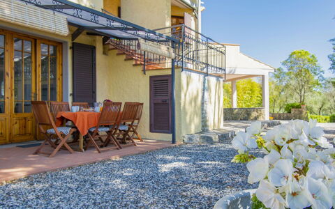 Casale Marittimo 607: Ciel, Fleur, Plante, Bâtiment, Propriété, Fenêtre, Chaise, Porte, Maison, Surface De La Route