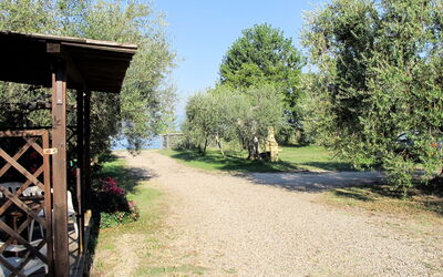 Lago Di Bolsena 657: Paysage Naturel, Arbre, Réserve Naturelle, Propriété, Herbe, Botanique, Paysage, Zone Rurale, Immobilier, Plante