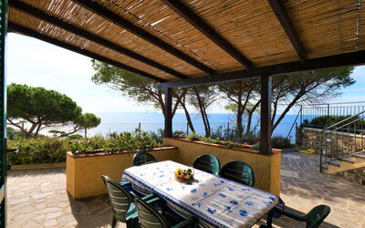 Logement:&nbsp;Oasis 1 630.2