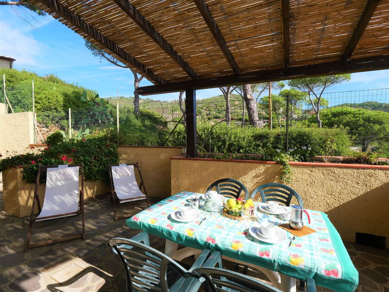 Logement:&nbsp;Oasis 2 630.4