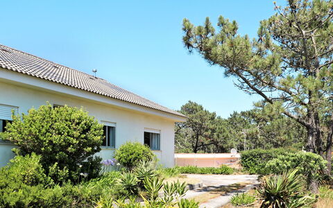 Da Praia: Ciel, Plante, Propriété, Fenêtre, Bâtiment, Arbre, Lot Terre, Ombre, Herbe, Zone Résidentielle