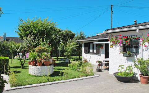 Lopes: Plante, Ciel, Fleur, Bâtiment, Pot De Fleur, Surface De La Route, Plante D'Appartement, Lot Terre, Fenêtre, Maison