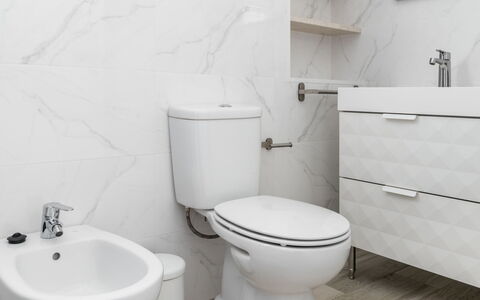 Avó Lucy: Luminaire Plomberie, Siège De Toilette, Propriété, Toilette, Blanc, Produit, Violet, Salle De Bains, Noir, Lavabo