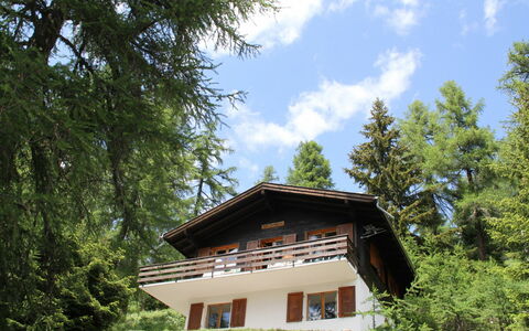 Chalet Soldanella (Bel205): Ciel, Plante, Nuage, Arbre, Paysage Naturel, Bois, Fenêtre, Herbe, Maison, Siding