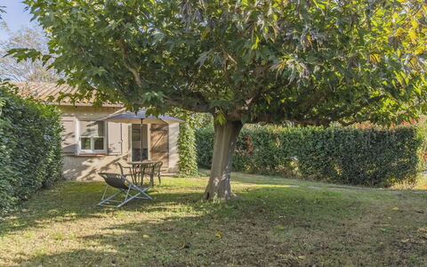 Fontenelle: Plante, Branche, Extérieur Banc, Arbre, Herbe, Fenêtre, Ombre, Paysage Naturel, Suppression Des Plantes Ligneuses, Maison