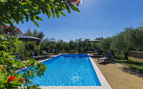 Sandra: Bleu, Piscine, Recours, Eco Hôtel, Jardin, Mobilier De Jardin, Aménagement Paysager, Biens, Hacienda, Balancelle
