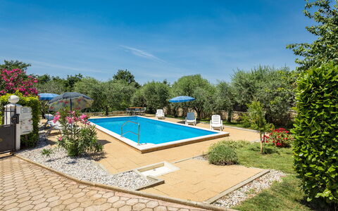 Sandra: Plante, Ciel, L'Eau, Bâtiment, Piscine, Arbre, Ombre, Lot Terre, Chaise, Condominium
