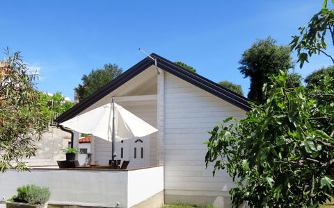 Dada: Propriété, Maison, Domicile, Chalet, Immobilier, Bâtiment, Zone Rurale, Lot Terre, Toit, Arbre